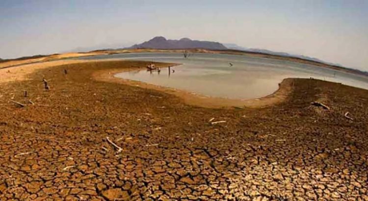 Sonora, al límite Sonora, al límite