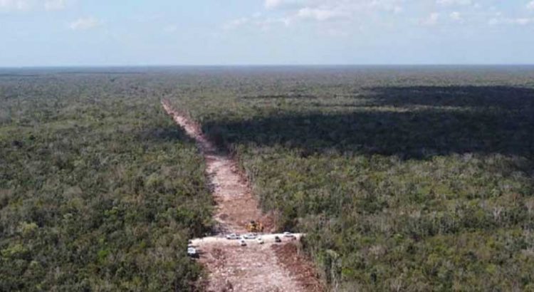 Autoriza Semarnat MIA del tramo 5 Sur del Tren Maya