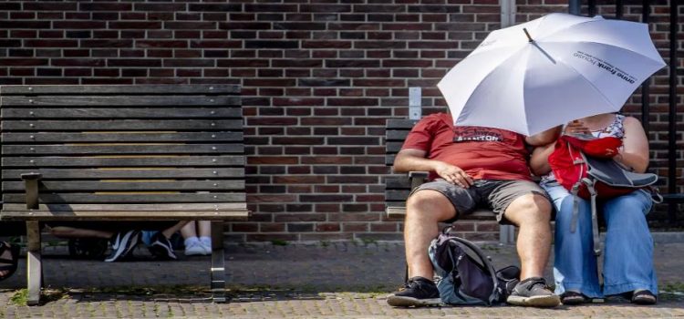En ola de calor, Holanda declara escasez de agua