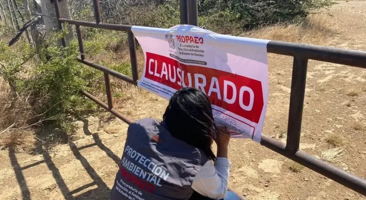 Clausuran mina clandestina en Oaxaca que operaba a favor de Cementera Cruz Azul