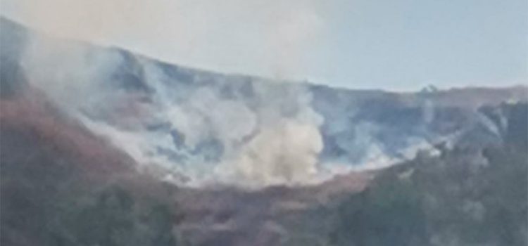 Tras 6 horas de labor, sofocan incendio en cerro de Monte Albán en Oaxaca