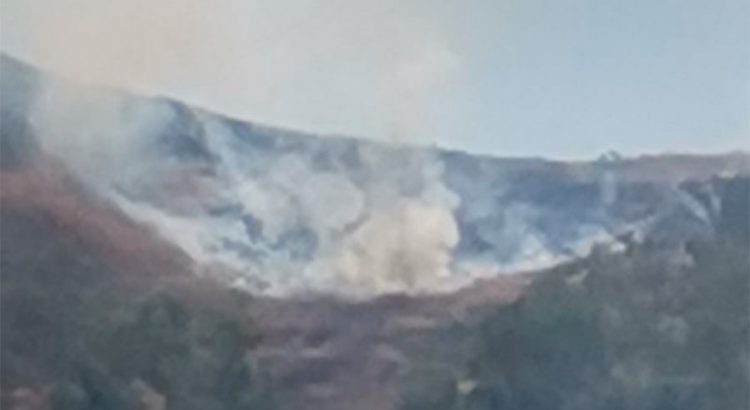 Tras 6 horas de labor, sofocan incendio en cerro de Monte Albán en Oaxaca