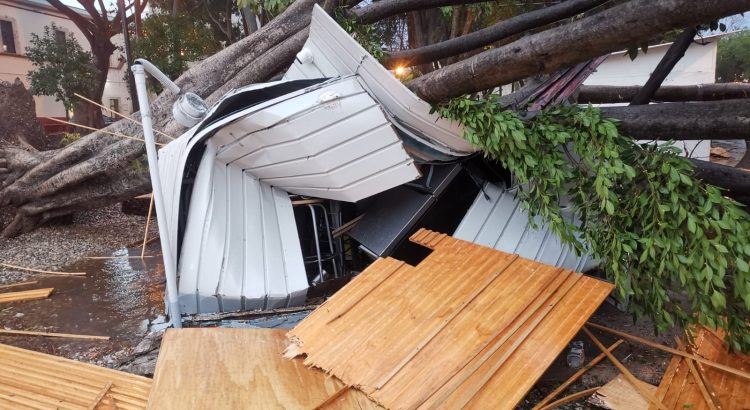 Fallas de luz, hospitales afectados y al menos 29 árboles caídos dejan fuertes lluvias en Oaxaca