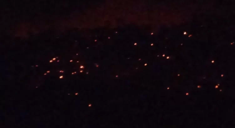 Más de 150 personas intentan controlar incendio forestal en San Miguel Chimalapa, Oaxaca