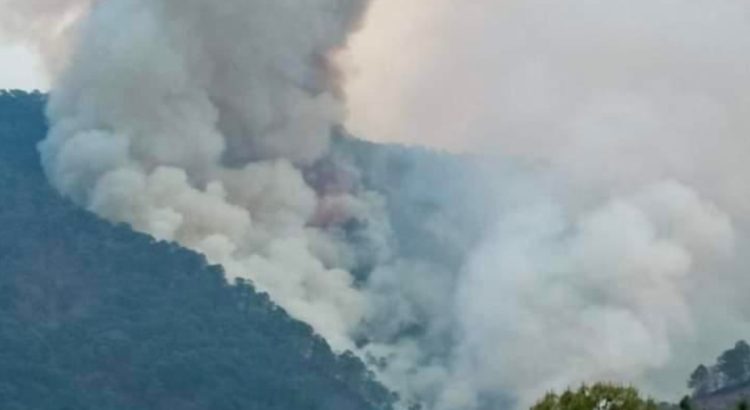 Incendios en Oaxaca cumplen 9 días y han consumido 3 mil hectáreas