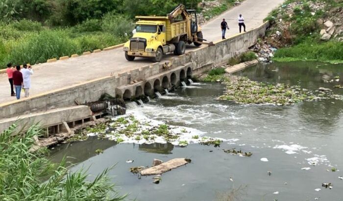 Estudio determina probable causa de muerte de cientos de mojarras en río de Juchitán