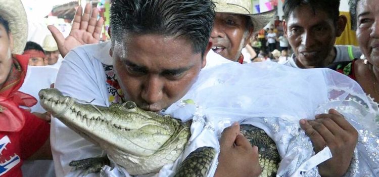 Alcalde de Oaxaca se casa con un caimán como parte de un ritual