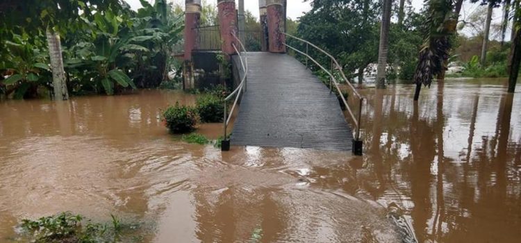 Ante riesgo de inundaciones en Oaxaca, alistan en Tuxtepec albergues