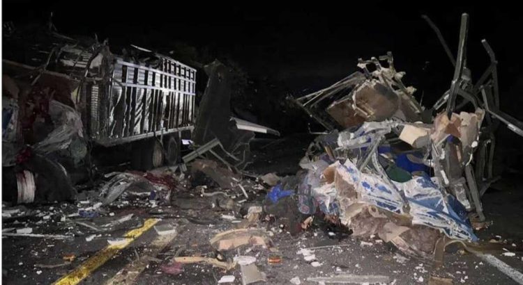 Choque de tráiler y autobús de pasajeros en autopista Tehuacán-Oaxaca deja 16 muertos; se han recuperado 12 cuerpos