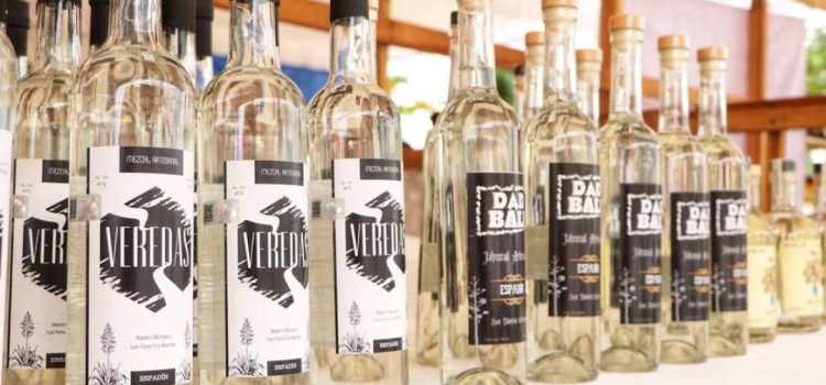 Participan 21 expositores en la Feria del Mezcal 2023, en Tuxtepec, Oaxaca