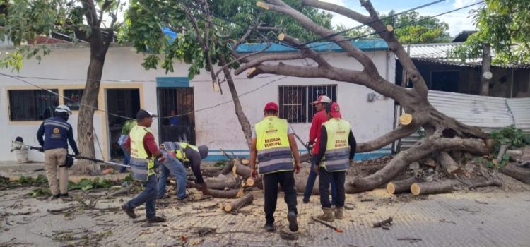 Vientos del frente frío número ocho causan daños en tres municipios del Istmo, en Oaxaca