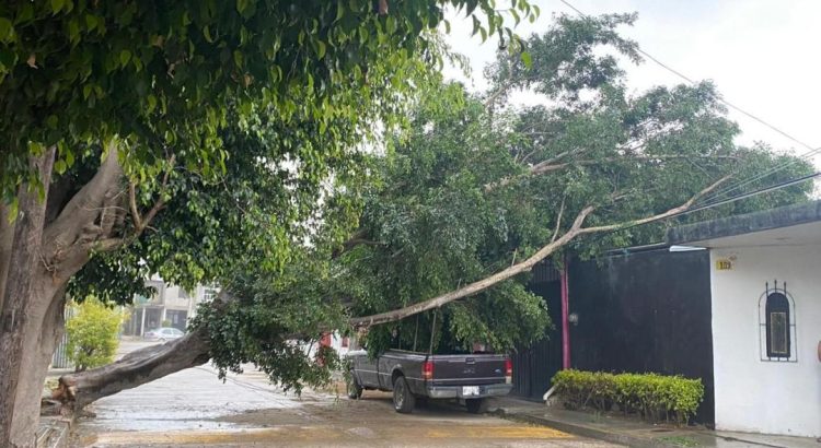 Alertan tormentas, inundaciones y actividad eléctrica en 4 regiones de Oaxaca