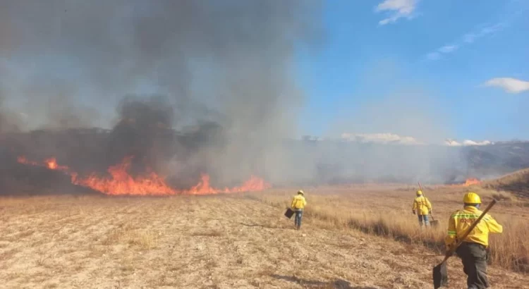 Incendio consume dos hectáreas de pastizales en Zona Arqueológica de Monte Albán