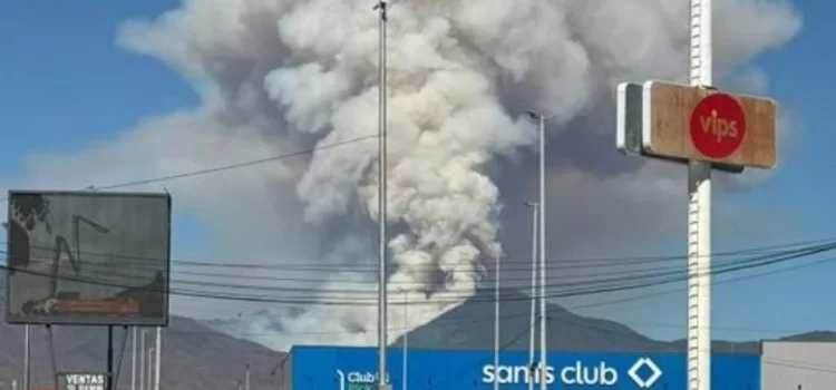 Incendio en Ixtepeji consume cientos de hectáreas de bosque en la Sierra Norte de Oaxaca