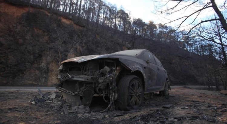 Oaxaca ha perdido más de mil hectáreas de bosque por incendio en Ixtepeji
