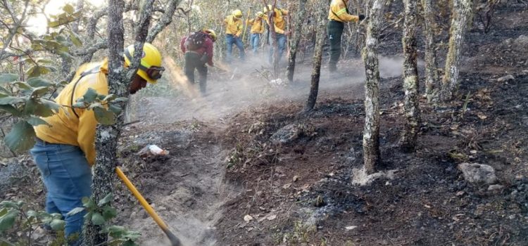 Liquidado al 60% fuego en Quiaviní, pero se registran dos incendios más en Oaxaca