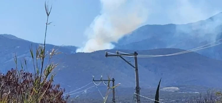 Se reactiva incendio en San Lucas Quiaviní, Oaxaca