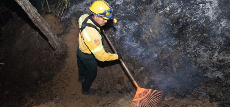 Atienden incendio forestal en San Martín Peras, en la Mixteca de Oaxaca