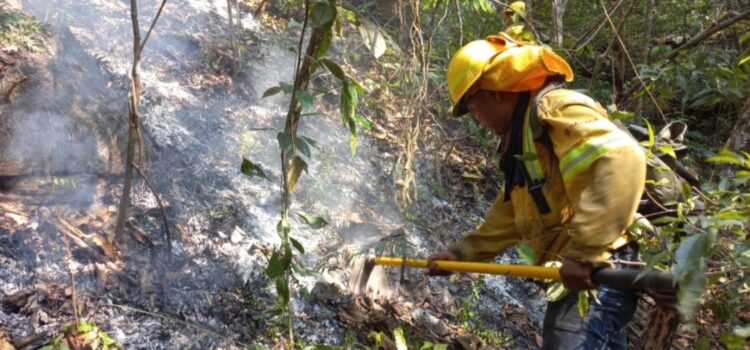 Liquidan cuatro incendios forestales en la Sierra de Juárez y Mixteca de Oaxaca