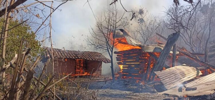 Incendios forestales provocados arrasan con 17 viviendas en la Mixteca de Oaxaca