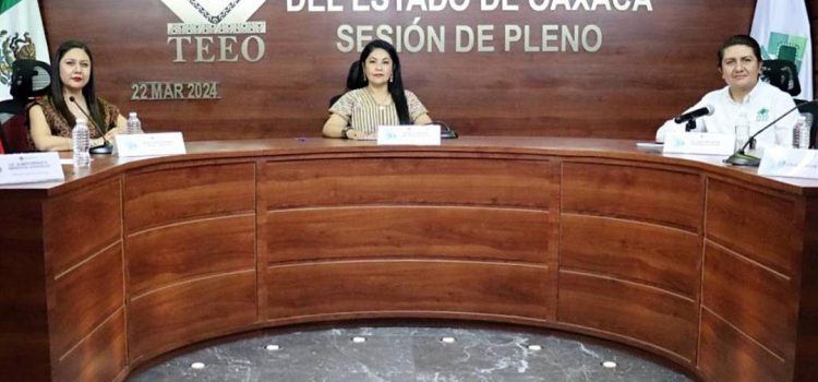 Tribunal Electoral de Oaxaca respalda a personas con discapacidad e indígenas; les da acceso a candidaturas