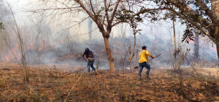 Muere en Oaxaca poblador que combatía incendio que consume bosques de Pochutla y Huatulco