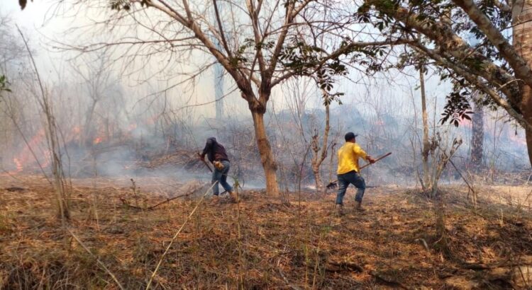 Muere en Oaxaca poblador que combatía incendio que consume bosques de Pochutla y Huatulco