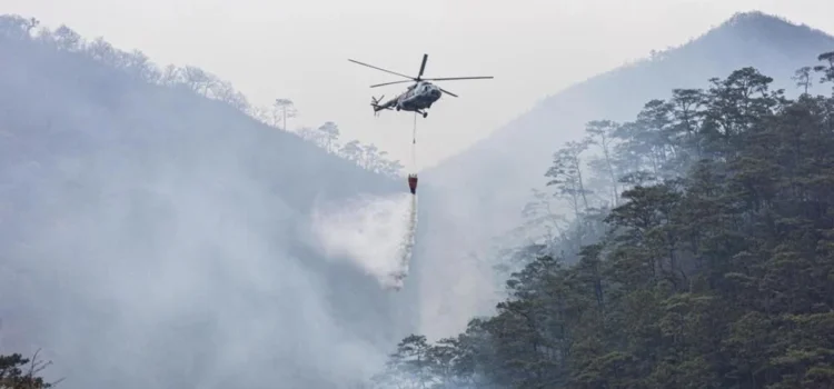 Reportan controlado al 65% incendio en Los Chimalapas, Oaxaca