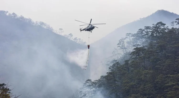 Reportan controlado al 65% incendio en Los Chimalapas, Oaxaca