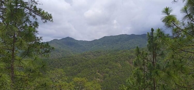 Acuerdan impedir instalación de casillas en Oaxaca para exigir solución a conflicto agrario en Los Chimalapas