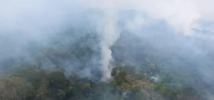 Sin control 3 de los 5 incendios que devoran selva de Los Chimalapas en Oaxaca