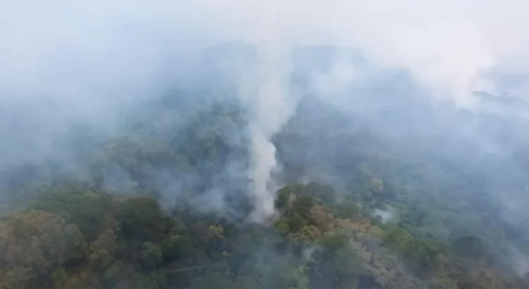 Sin control 3 de los 5 incendios que devoran selva de Los Chimalapas en Oaxaca