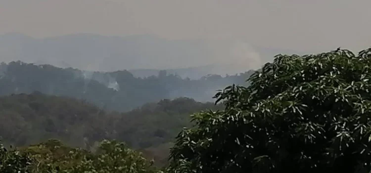 Reportan cinco incendios activos en la selva de Santa María Chimalapas, Oaxaca