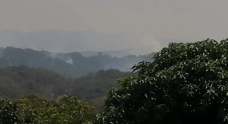 Reportan cinco incendios activos en la selva de Santa María Chimalapas, Oaxaca