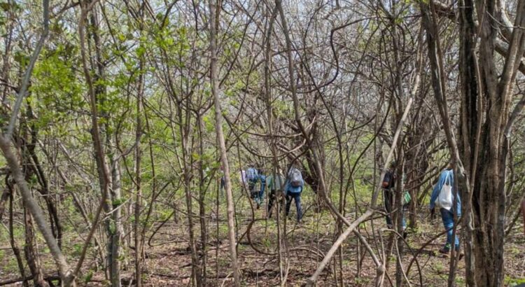 Tras incendios en Oaxaca, decretan veda para caza de venado y armadillo en Los Chimalapas