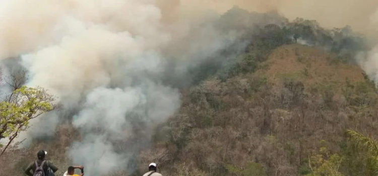 Lluvias, esperanza del pueblo zoque de Oaxaca ante incendios que consumen selva de Los Chimalapas