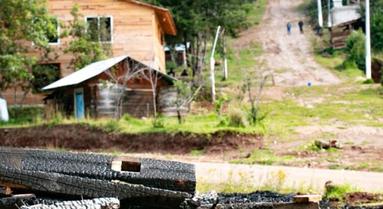 Ante tala clandestina y violencia, gobierno de Oaxaca anuncia instalación de cámaras en San Miguel El Grande