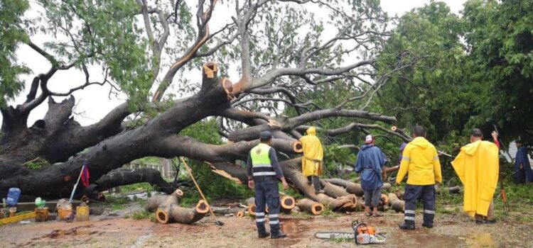 Inundaciones y crecida de ríos vuelven a golpear al Istmo tras fuertes lluvias en Oaxaca