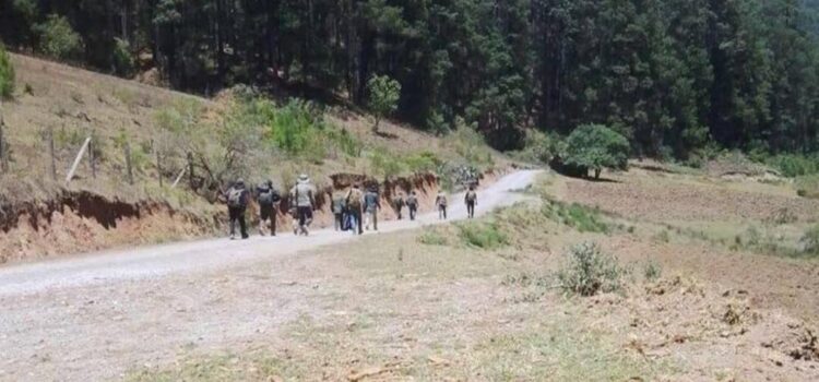 Piden al gobierno de Oaxaca garantizar vida y seguridad de desplazados de San Pedro el Alto