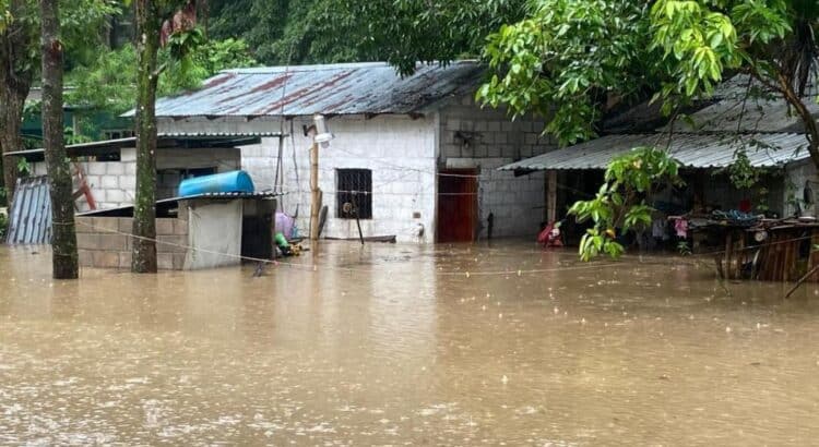 Lluvias desbordan ríos y dejan incomunicados a pueblos de Oaxaca; en alerta 130 municipios