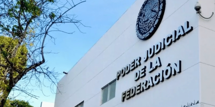 Más de 10 mil aspirantes se registraron para participar en la elección del Poder Judicial Más de 10 mil aspirantes se registraron para participar en la elección del Poder Judicial