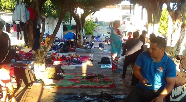 Imposible frenar flujo migratorio que atraviesa Oaxaca pese a acuerdos de Sheinbaum y Trump, advierten activistas