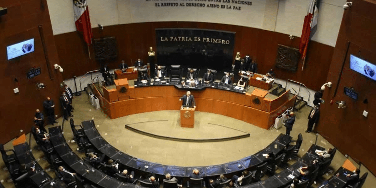 El Senado revela lista preliminar de aspirantes a magistrados y ministros de la SCJN El Senado revela lista preliminar de aspirantes a magistrados y ministros de la SCJN
