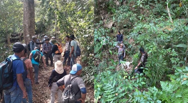 Intensifican búsqueda de Génesis Keylani, niña de 12 años, desaparecida en Oaxaca