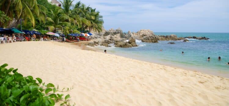 Desaparecen en Oaxaca al menos 14 personas, la mayoría jóvenes; viajaban a Puerto de Escondido