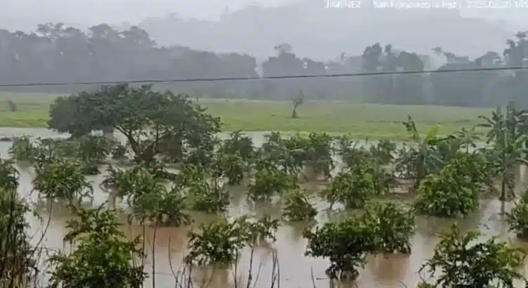 Se desborda río Uxpanapa, deja mil 500 personas incomunicadas y daños en cultivos en los Chimalapas