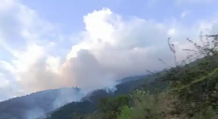 Reportan incendio en Yosoyuxi Copala, en la Mixteca de Oaxaca