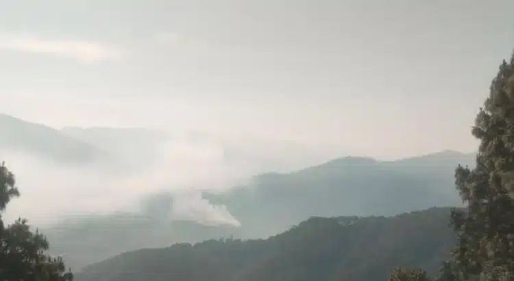 Reportan incendio forestal fuera de control en San Juan Copala