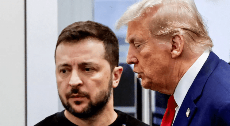 Trump y Zelenski sostuvieron una “muy buena” conversación telefónica