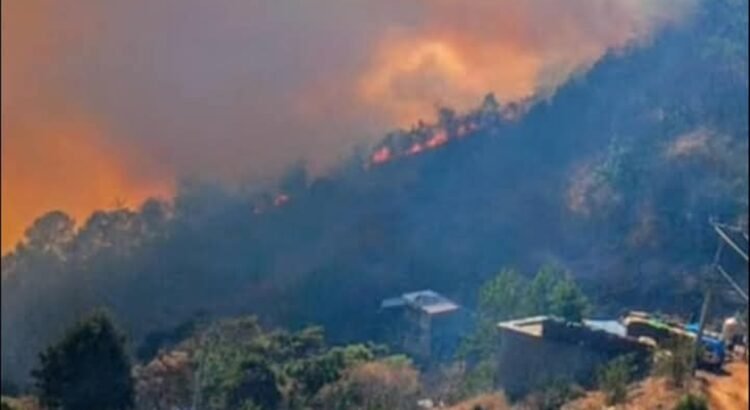 Mueren dos personas mientras combatían el incendio forestal en Santa María Peñoles, Oaxaca